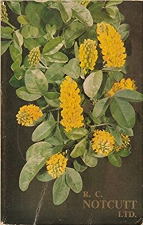 Notcutts first book of plants