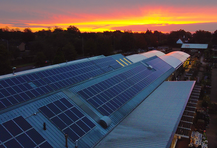 Solar panels at Norwich Garden Centre