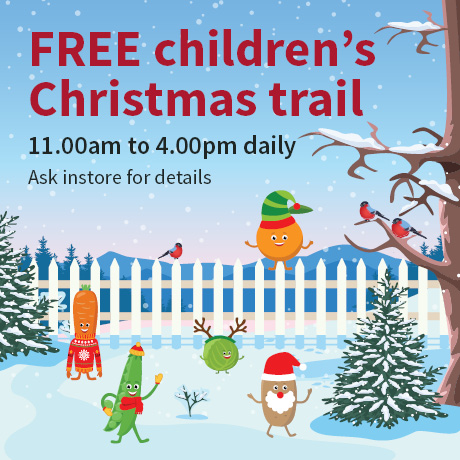 Childrens Christmas Trail
