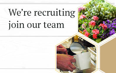 We're recruiting - join our team