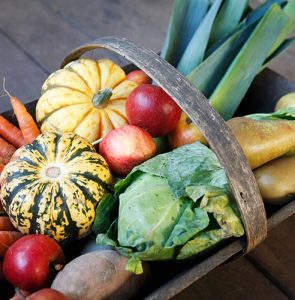 How to harvest fruit and vegetables