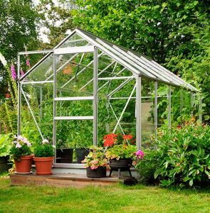 How to set up a greenhouse