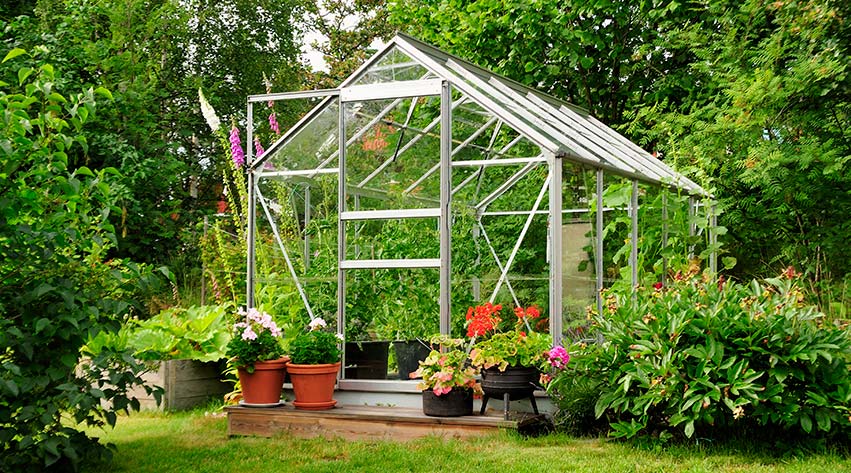 a glass greenhouse in a garden surrounded by plants